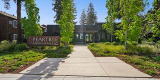 Peartree Apartments Gallery 45