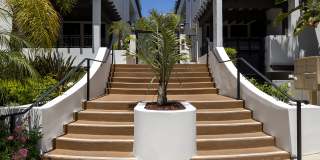 Vista Paradiso Gallery 4