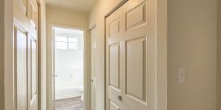 College Woods Gallery 39