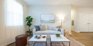 Madison Shores Gallery 6