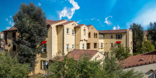 Paseos At Magnolia Luxury Apartment Homes Gallery 55