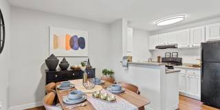 MonteVista Gallery 6