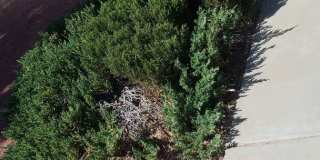 Home For Rent - Great Location on the Westside w/ Refrigerated Air! Gallery 6