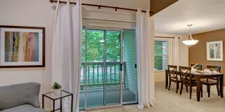 Island Park Gallery 11