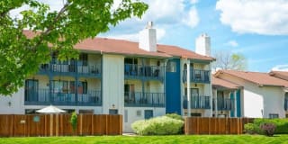 Henley And Remy Gallery 24