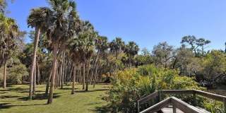 2746 ORCHID OAKS DRIVE Gallery 57