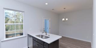 ENJOY LIVING DOWNTOWN ON THE BROAD RIVER Gallery 15