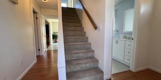 116 Ridgeley Road Gallery 1