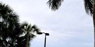 12604 Garibaldi Lane Gallery 4