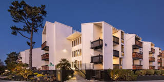 South Shore Gallery 21