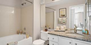 The Chapman Gallery 18