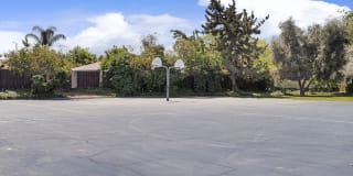 Park West Gallery 13