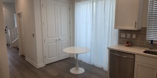 2456 E Encanto Paseo Gallery 6