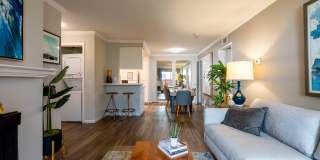 La Terraza Gallery 11