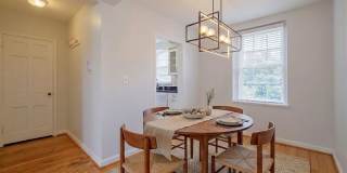Sunny & Renovated 2BR 1BA in NW DC McLean Gardens Oasis! Gallery 4