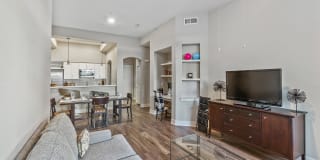 The Madison at Town Center Gallery 4