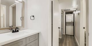 Rise on Cactus Gallery 28