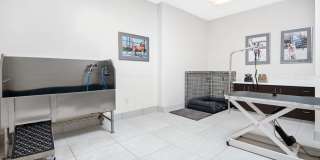 7SEVENTY7 7SEVENTY7 Gallery 37