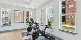 Bluebird on Seventy Gallery 25