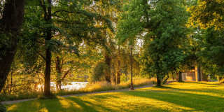 Heartwood Gallery 42