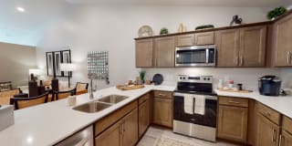 Insignia Apartments Gallery 3