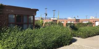 Rancho Encanto Apartments Gallery 15