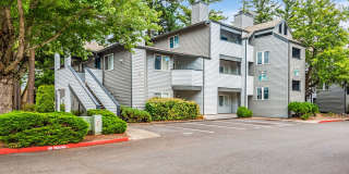 Mountain Meadows Gallery 30