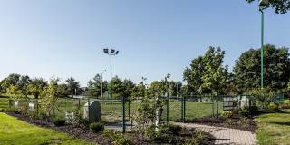 The Crossing At Barry Road Gallery 29