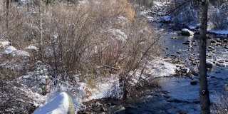 1035 E Durant Avenue unit: #4 Gallery 3