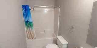 Spacious 3 bedroom w/ fenced yard Gallery 30