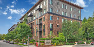 Redmond Square Gallery 22