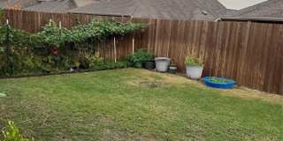 1313 Forest Haven Drive Gallery 31