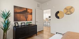 Meritum Sonoran Desert Gallery 11