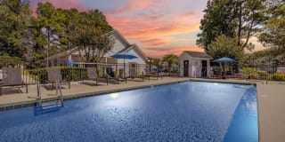 Birch Pond Gallery 2