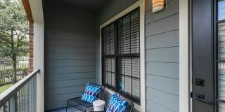 The JaXon Gallery 13