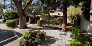 Welcome to 3630 Lupine Ave, a Beautiful Palo Alto Home Gallery 1