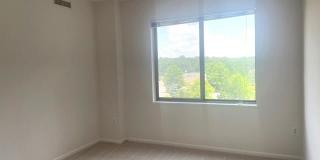3210 N LEISURE WORLD Boulevard 3210 N LEISURE WORLD Boulevard Gallery 8