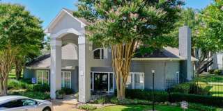 The Timbers at the Park Gallery 3