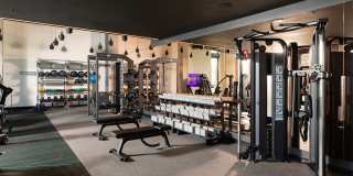 Orlo & Alba Gallery 28