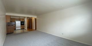 Ogden Arms Gallery 20