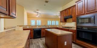 Beautiful 4 bedroom, 2 bathroom home in Round Rock! Gallery 14