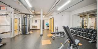 The Locks The Locks Gallery 16