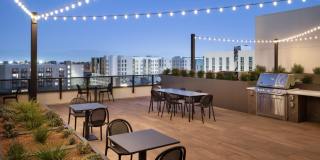 The Lafayette Gallery 11