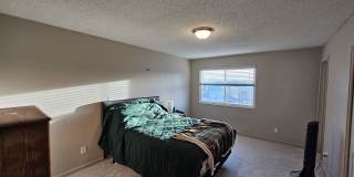 3 Bed 2 Bath In Fountain Valley Ranch!! Gallery 12
