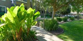 Monte Vista Apartments Gallery 22