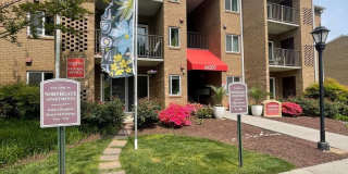Northgate Gallery 53