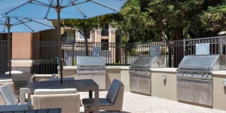 Avalon Willow Glen Avalon Willow Glen Gallery 18