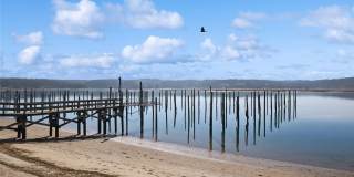 171 Harbor Beach Road Gallery 42