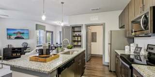 The Lotus at Starkey Ranch Gallery 6