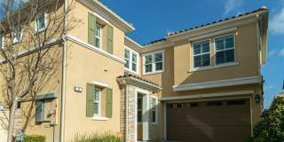 53 Bluebell Gallery 1